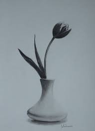Elena Whitman Flower Sketch Pencil Flower Vase Drawing Still Life Sketch While some flowers are very uniform, daisies like these all vary slightly. elena whitman flower sketch pencil