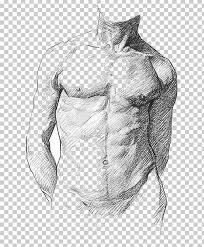 Studies of musculature in the right arm; Human Anatomy For Art Students Human Anatomy For Artists Human Body Png Clipart Abdomen Anatomy Arm