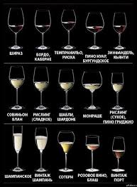 Different Wine And Spirit Glassware Names And Uses Wine Recipes Drinks Wine Tasting
