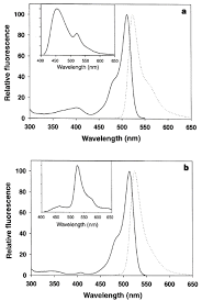 The malaysian ringgit is divided into 100 sen. On Off Blinking And Switching Behaviour Of Single Molecules Of Green Fluorescent Protein Nature
