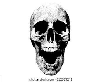 Skull Screaming Illustration White Background Stock Illustration 612883241  | Shutterstock