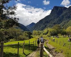 Image de Parc national naturel de Cocora, Colombie