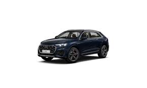 Image result for Argus Brown 2021 Audi