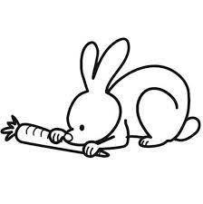 grignote le lapin coloriage dessin facile dessins faciles pages de supercoloration