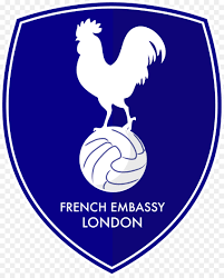 France football crest french federation uefa squad fff soccer under badge announces gaelle dumas cup championship designtaxi sweden stream canada. Football Logo