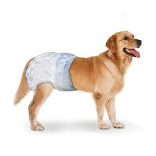 Ozellestirilmis Boyutu Kaliteli Ucuz Fiyat Tek Kullanimlik Pet Bebek Bezi Kopek Icin Cin Den Buy Pet Kopek Bezi Ozellestirilmis Boyutu Kopek Bezi Kopek Yavrusu Icin Pet Bezi Product On Alibaba Com