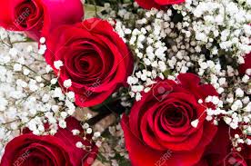 Another use for white flowers is to include them in the bouquet at your outdoor wedding to lighten it up and give it a more summery feel. Red Rose With White Flowers