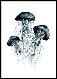Jellyfish Jellyfish Painting Online Wall Art Poster Prints