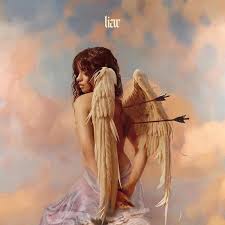 Camila Cabello Releases A Music Video For Her Liar Single Album Cover Art Camila Cabello Music Album Cover