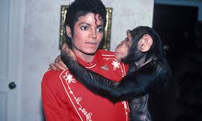 'there must be more to. Bubbles The Chimp Delayed Michael Jackson And Freddie Mercury S Duet Daily Mail Online