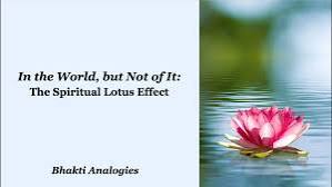 In the World, but Not of It: The Spiritual Lotus Effect (Bhakti Analogies Series)