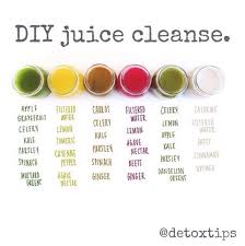 Nekter Juice Cleanse Diary Diy Juice Cleanse Cleanse Recipes Healthy Juices