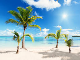 Here are only the best beach hd wallpapers. Beach Png Hd Free Beach Hd Png Transparent Images 52886 Pngio