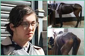 Loughborough, Leicestershire: Natasha Waller