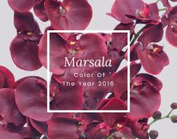 Maybe you would like to learn more about one of these? Professional Street Florist Online