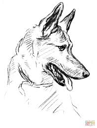 Baby German Shepherd Coloring Pages Mrengmeng Link Dog Coloring Book Dog Coloring Page Dog Portraits