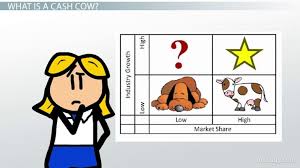 cash cow in marketing definition matrix examples