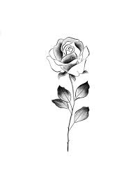 Notitle Rose Notitle Rose Tattoodrawings Notitle Rose Notitle Rose Rose Tattoo Design Single Rose Tattoos Rose Tattoos For Men