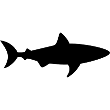 Download Shark Facing Right Vector Svg Icon 2 Svg Repo