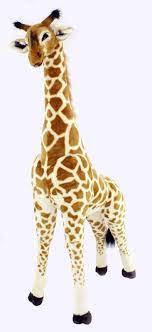 Pin On Baby Dominick Safari