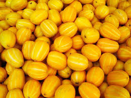 Image result for Cucumis melo