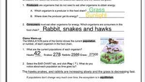 Producers are organisms that do not need to eat other organisms to obtain energy. Food Chain Worksheet With Gizmos Bulb