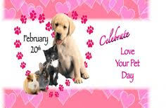 National pet day seeks to show appreciation for all the pets in the world. 10 National Love Your Pet Day February 20 Ideas Love Your Pet Day Love Your Pet Your Pet