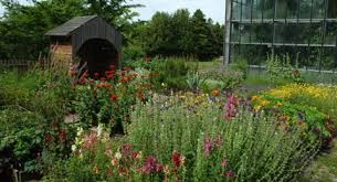 Insgesamt gibt es 11 ausbildungsplätze. Geschichte Des Gartens Botanischer Garten Kiel