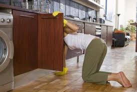 Keeping Your Kitchen Cabinet Clean From Mold