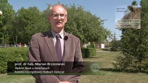 Brzozowski was educated in lublin and warsaw, where he enrolled in. Prof Dr Hab Marian Brzozowski Youtube