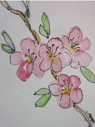 I will leave the cherries in pencil but add some shading. Easy Watercolor Paintings Watercolor Textures Aqwarelle Ideas Watercolour Inspiration Tutorials That I Love Flower Drawing Flower Art Easy Flower Drawings