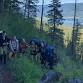 Young Adult Backpacking Trip
