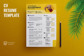 Resume vs cv (international differences). 30 Best Cv Resume Templates 2021 Theme Junkie
