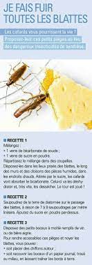 Les cafards seront attirés par le sucre et le mangeront. Recette Anti Cafard Anti Cafard Repulsif Insectes Cafards