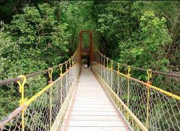 Coorg Karnataka Ten Must Visit Places For First Time Travellers Travel India Travel Places Vacation Trips