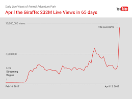 Live Stream Of A Giraffe Giving Birth Gets More Than 230