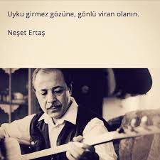 uyku girmez gozune gonlu viran olanin neset ertas daglar dagladi beni ozlu sozler ilham veren sozler kitap alintilari