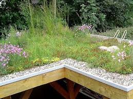 Carport Mit Extensiver Dachbegrunung Dachbegrunung Flachdach Begrunung Dachgarten