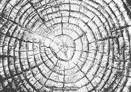 Black And White Sweet Potato Vector Free Tree Rings Vector Texture Tree Ring Art Black And White Tree Tree Rings