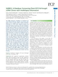 Crdb bank plc is an african bank and a leading financial services provider in tanzania with the bank was established in 1996 and was listed on the dar es salaam stock exchange (dse) in june. 2