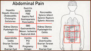 Describe the location, parts and external features of stomach. Abdominal Pain Causes By Location Stomach Anatomy And Quadrants Ezmed