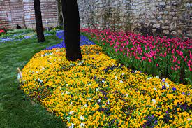 Namun saya ragu apakah eksistensi taman ini diketahui oleh orang indonesia pada umumnya? Alhamdulilah Di Sini Kaki Ku Melangkah Jalan Jalan Turki 2016 Musim Bunga Di Istanbul