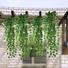En este blog podrán encontrar mucha información sobre los jardines verticales así como la forma de hacer un jardín vertical como decorar su casa interior con un jardín plantas para. Mundo Natural En Interiores Y Exteriores Plantas Colgantes Decoracion Con Plantas Artificiales Jardines Colgantes