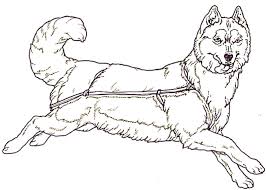 We provide coloring pages, coloring books, coloring games, paintings, and coloring page instructions here. Husky Coloring Page Sammyz Mama Flickr
