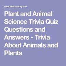 The 1960s produced many of the best tv sitcoms ever, and among the decade's frontrunners is the beverly hillbillies. Plant And Animal Science Trivia Quiz Questions And Answers Trivia About Animals And Plants Science Trivia Quiz Questions And Answers Trivia Quiz Questions