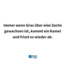 Maybe you would like to learn more about one of these? Lustige Spruche Witzige Spruche Zum Lachen