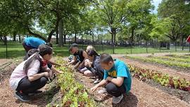 Urban Farming 101 Workshop: Supporting Student Learning