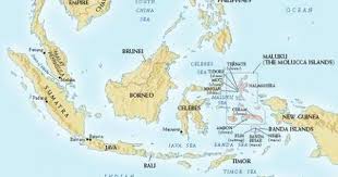 Check spelling or type a new query. Spice Islands Map Locator Geography World History Spice Island Island Map Maluku