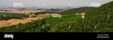 Image result for Oricia