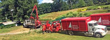 Get lawn care in cleveland, oh today. Cleveland Ohio Tree Services Company Vancuren Tree Services